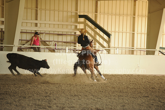 R318_WorkingCow_5770