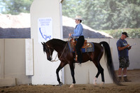 Class 274 Reg 3  Arabian Western Pleasure Championship AATR Select