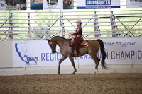 Class 275 Reg 3 HA/AA Western Pleasure Championship JTR Select