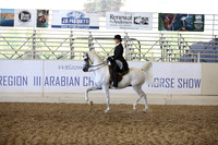 Class 277 Reg 3 Arabian Country English Pleasure Championship JTR 18/under