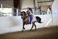 Class 278 Reg 3 Arabian Mounted Native Costume Championship ATR