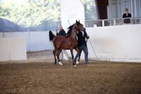 R318_SunEve_7346