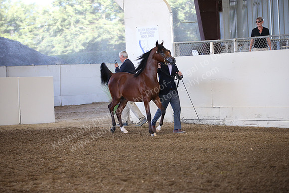 R318_SunEve_7346