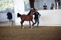 R318_SunEve_7347