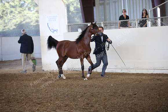 R318_SunEve_7347