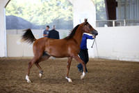 R318_SunEve_7357