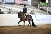 R318_SunEve_7803