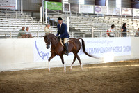 R318_SunEve_7810
