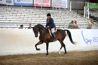 R318_SunEve_7817