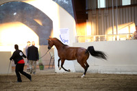 R318_SunEve_7869