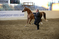 R318_SunEve_7877