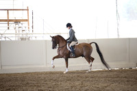 Class 295 Reg 3 HA/AA Hunter Pleasure Championship JTR Select