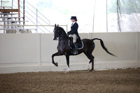 Class 73 Arabian English Show Hack Open