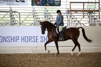 Class 77 HA/AA Hunter Pleasure Open