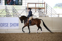 Class 82 HA/AA Hunter Pleasure JTR 18 Yrs/Under