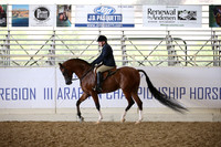Class 85 Arabian Hunter Pleasure AAOTR 19 Yrs/Over