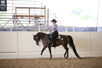 Class 87 Arabian Western Pleasure Mares & Stallions