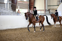 Class 88 A/HA/AA Walk Trot Hunter Seat Equitation Riders 10 & Under