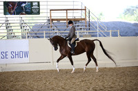 Class 93 HA/AA Hunter Pleasure JTR Select