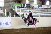 Class 94 Arabian Mounted Native Costume ATR