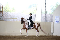 Class 95 HA/AA English Show Hack Open