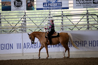 Class 96 HA/AA Western Pleasure JOTR 18 Yrs/Under