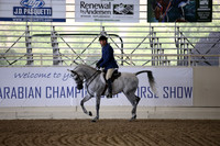 Class 97 Arabian Hunter Pleasure Ladies & Gentlemen to Ride