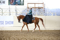 Class 98 Arabian Ladies Side Saddle ATR