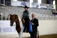 Class 99 HA/AA Western Pleasure Open