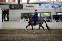Class 103 HA/AA Country English Pleasure  JTR Select