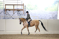 Class 104 HA/AA Hunter Pleasure AAOTR 19 Yrs/Over