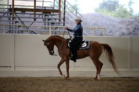 Class 105 Arabian Western Pleasure Open