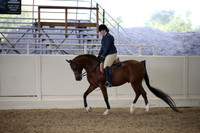 Class 106 Arabian Hunter Pleasure JTR 18 Yrs/Under