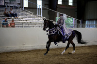 Class 111 HA/AA Mounted Native Costume-ATR