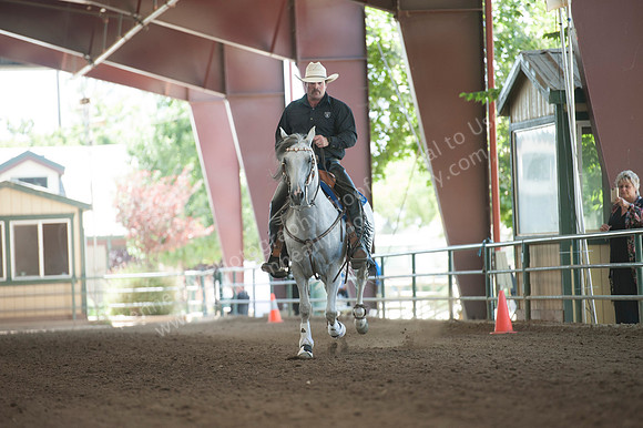 R318_MonPM_Reining_5859