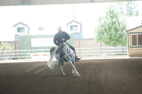 R318_MonPM_Reining_5865
