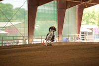 R318_MonPM_Reining_5867