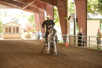R318_MonPM_Reining_5874