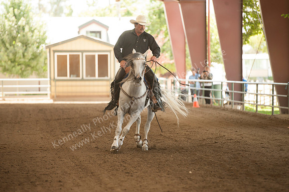 R318_MonPM_Reining_5879