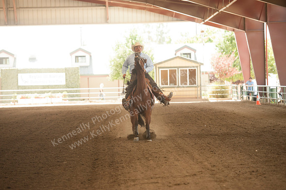R318_MonPM_Reining_5880
