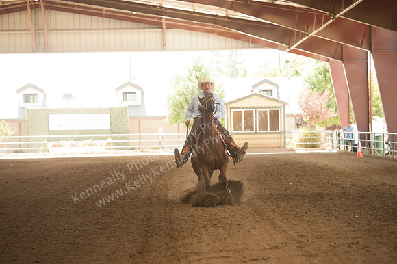 R318_MonPM_Reining_5881