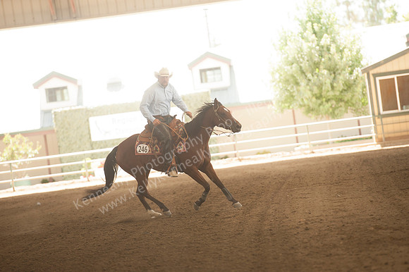 R318_MonPM_Reining_5883