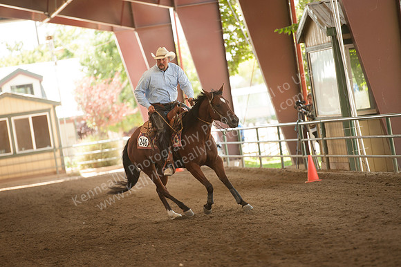R318_MonPM_Reining_5884