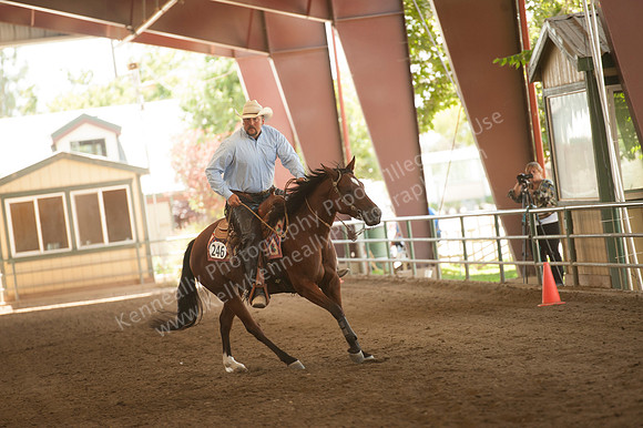 R318_MonPM_Reining_5886