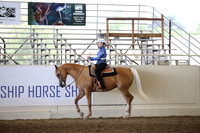 Class 300 Reg 3 HA/AA Western Pleasure Championship JOTR 18 yrs/under