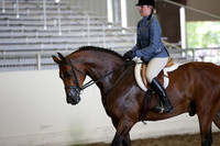 Class 306 Reg 3 HA/AA Hunter Pleasure Championship AATR Choice/Elite