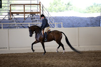 Class 308 Reg 3 HA/AA Hunter Pleasure Championship JTR 18 yrs & under