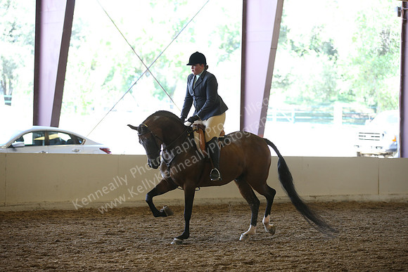 KKP_9377