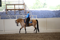Class 309 Reg 3 HA/AA Western Pleasure Championship AATR Select