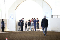 Class 317 Reg 3 Showmanship Walk Trot Championship JTH 10 yrs/Under